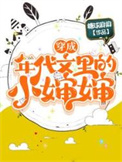 《穿成年代文里的小婶婶》封面