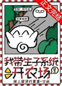 《我带生子系统开农场》封面