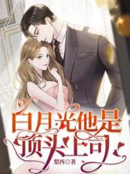 《白月光他是顶头上司》封面