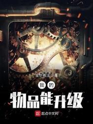 《我的物品能升级》封面