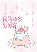 《我的18岁男房客》封面