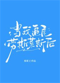 《当我追尾劳斯莱斯后》封面