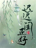 《迟迟闺正好》封面