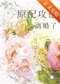《原配攻他离婚了》封面