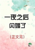 《一夜之后闪婚了》封面