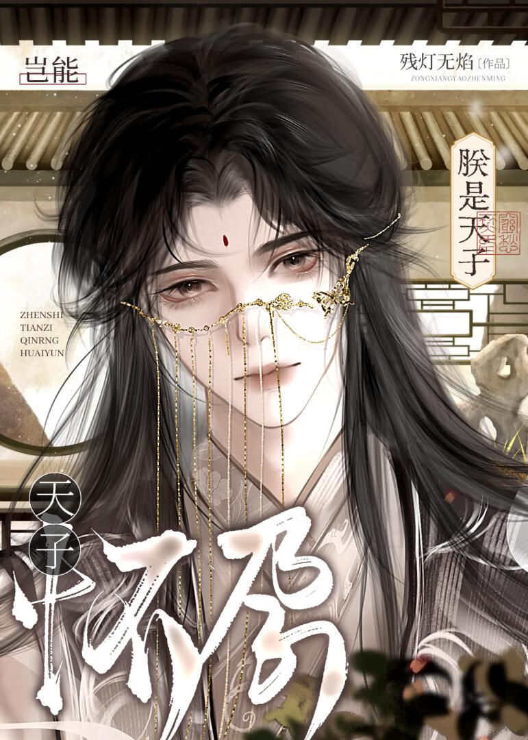 《朕是天子岂能怀孕！》封面