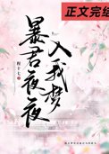 暴君夜夜入我梦封面