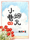《小巷烟火[八零]》封面