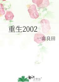 《重生2002》封面