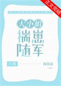 《大小姐揣崽随军[六零]》封面