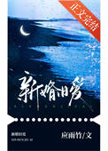 《新婚旧爱》封面