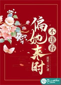 《偏她来时不逢春》封面