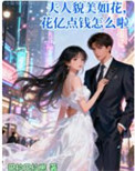 《夫人貌美如花，花亿点钱怎么啦！》封面
