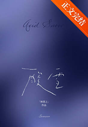 酸雪封面