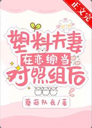 塑料夫妻在恋综当对照组后封面