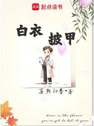 白衣披甲封面