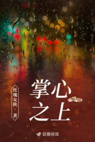 掌心之上封面