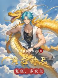 黄龙升天封面