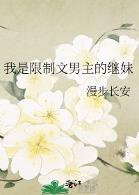我是限制文男主的继妹封面